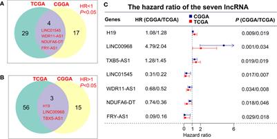 A Five-lncRNAs Signature-Derived Risk Score Based on TCGA and CGGA for Glioblastoma: Potential Prospects for Treatment Evaluation and Prognostic Prediction